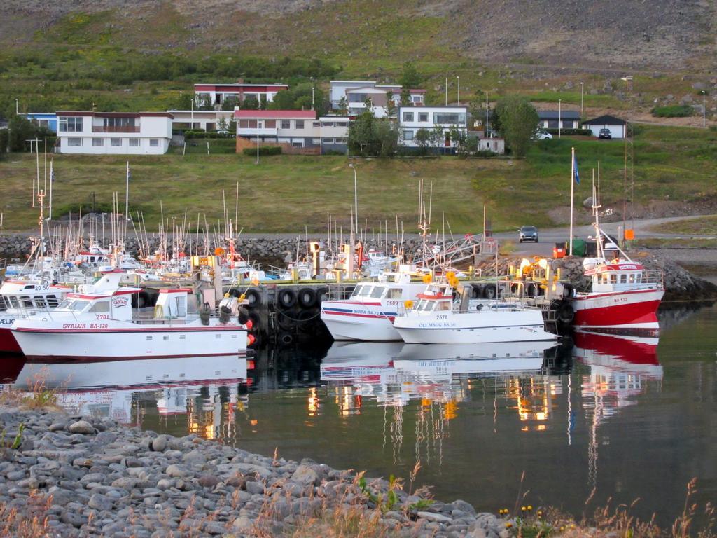 Stekkar 23 Appartement Patreksfjordur Buitenkant foto