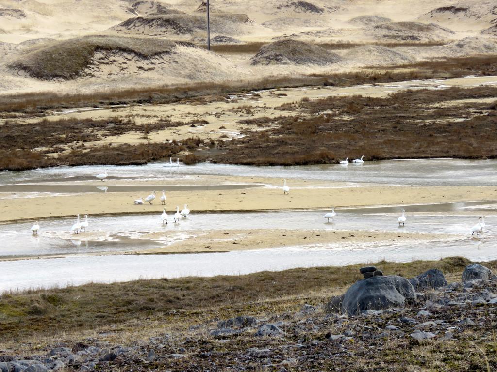 Stekkar 23 Appartement Patreksfjordur Buitenkant foto